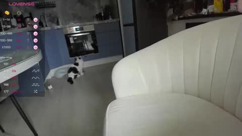 Lisa online show from 03/31/26, 04:24