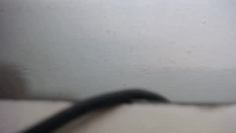 Snapshot of lisa_branch chatting on 09/20/25, 10:27 lisa_branch online show from 09/20/25, 10:27