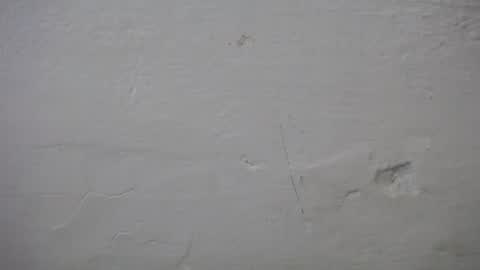 Snapshot of lisa_branch chatting on 10/06/25, 07:11 lisa_branch online show from 10/06/25, 07:11