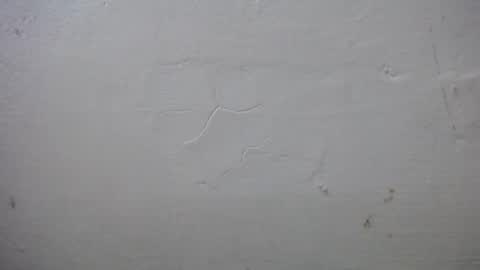 Snapshot of lisa_branch chatting on 10/13/25, 07:25 lisa_branch online show from 10/13/25, 07:25