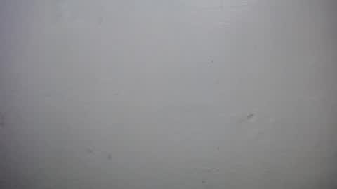 Snapshot of lisa_branch chatting on 10/18/25, 10:16 lisa_branch online show from 10/18/25, 10:16