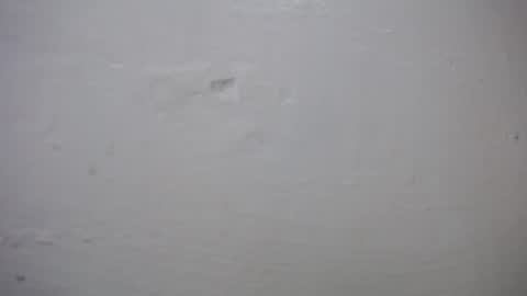 Snapshot of lisa_branch chatting on 10/27/25, 10:41 lisa_branch online show from 10/27/25, 10:41