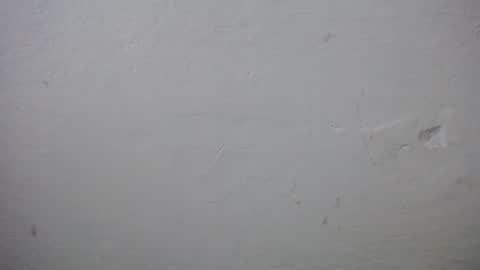 Snapshot of lisa_branch chatting on 12/20/25, 11:17 lisa_branch online show from 12/20/25, 11:17