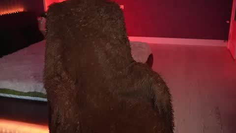 lisa_elfy online show from 03/18/26, 03:37