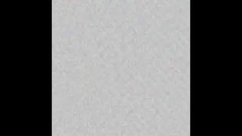 Zaydon and Lita Wolfe online show from 02/22/26, 10:30