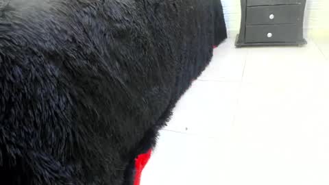 Misstress Martina  online show from 02/14/25, 10:14