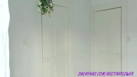 Snapshot of littlegreekflower chatting on 02/09/25, 01:56 Audra A online show from 02/09/25, 01:56