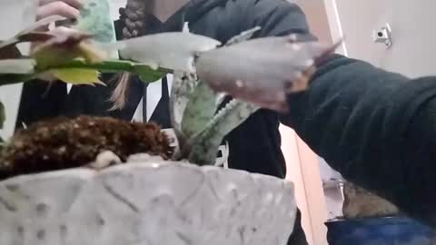 Snapshot of littleleo96 chatting on 10/05/25, 11:08 littleleo96 online show from 10/05/25, 11:08