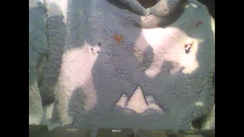 LittlePaul online show from 02/14/25, 09:10