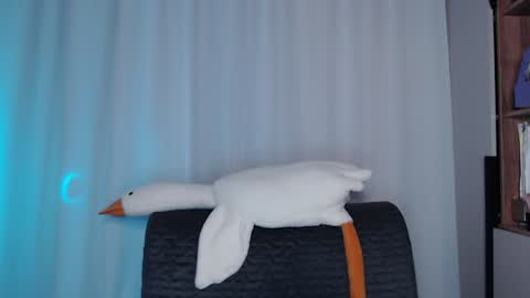 Sonnenschein online show from 12/11/24, 03:24