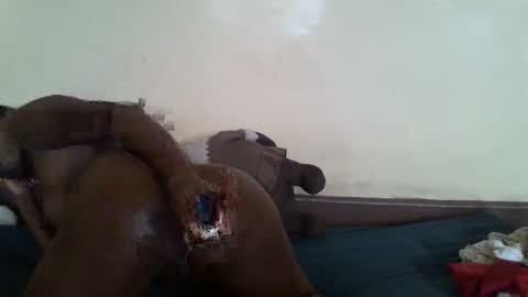 Snapshot of littlesandie chatting on 03/10/25, 12:04 littlesandie online show from 03/10/25, 12:04