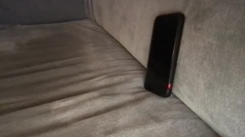 Snapshot of liutmil chatting on 11/12/25, 09:58 liutmil online show from 11/12/25, 09:58