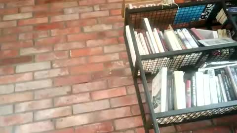 lllukasssxxx online show from 11/01/25, 09:33