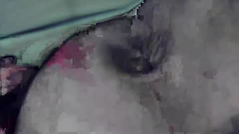 Snapshot of lofkok chatting on 03/12/25, 04:13 lofkok online show from 03/12/25, 04:13