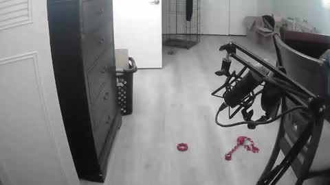 lohangwang69 online show from 02/15/26, 09:44