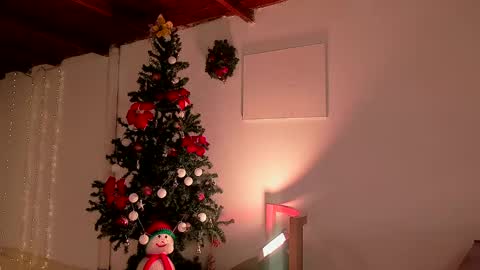 Snapshot of lola_cocks chatting on 12/21/24, 01:04 mara online show from 12/21/24, 01:04