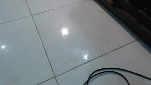 lola_foox online show from 11/12/25, 11:25