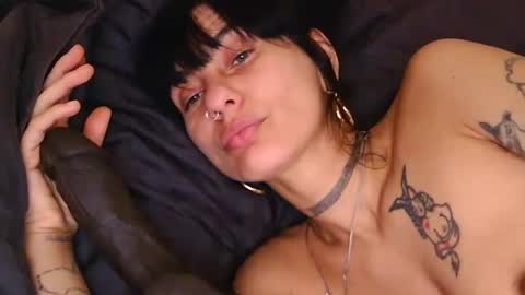 Lola Midnight online show from 04/11/26, 07:45