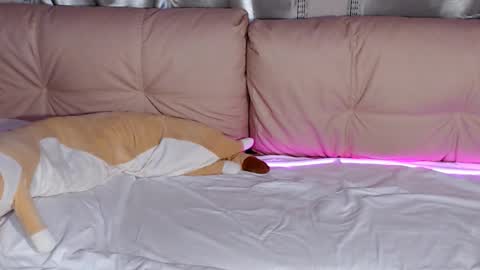 lolacash777 online show from 02/17/26, 08:26