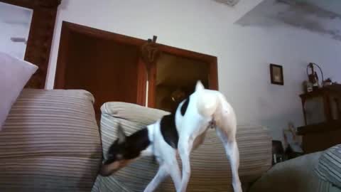 LOLA HUESO y ERIC online show from 01/15/26, 09:58