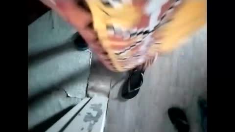 Snapshot of lolamommie chatting on 12/04/25, 11:24 tey online show from 12/04/25, 11:24