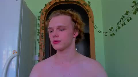 Snapshot of lolnoillimsary chatting on 07/15/26, 02:44 Nelis online show from 07/15/26, 02:44