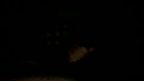 Snapshot of lonezane chatting on 11/14/25, 07:34 Handsome Cock online show from 11/14/25, 07:34