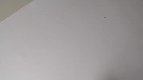 Mr. FogoDeChao online show from 01/16/26, 11:09