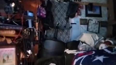 Mr. FogoDeChao online show from 03/11/26, 11:38