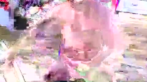 Snapshot of look4fun316 chatting on 11/04/25, 01:48 look4fun316 online show from 11/04/25, 01:48