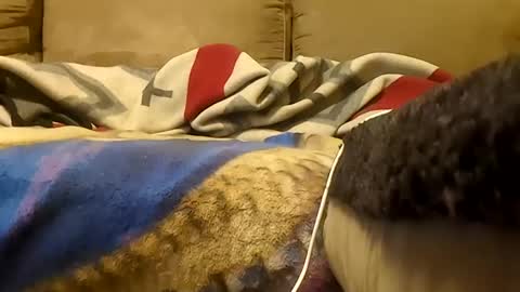 looking4bush online show from 01/19/26, 05:55