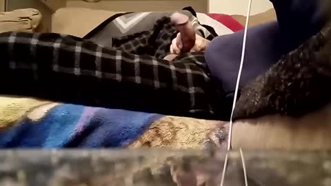 looking4bush online show from 03/18/26, 01:09