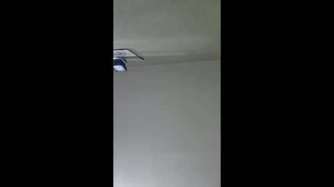 Snapshot of lopezpedro2791 chatting on 12/17/25, 05:35 2791 3D online show from 12/17/25, 05:35