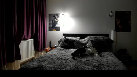 Lora online show from 01/08/25, 06:41