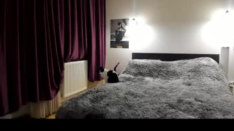 Lora online show from 02/21/25, 05:53