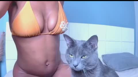 Blackcat online show from 03/30/26, 12:00