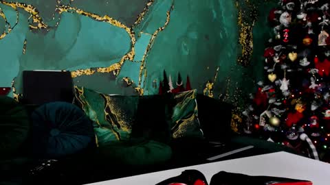 Snapshot of lorawarnner chatting on 12/13/24, 05:21 Miss online show from 12/13/24, 05:21