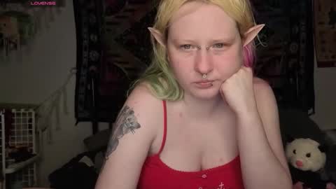 Lori Critter online show from 05/15/26, 11:23