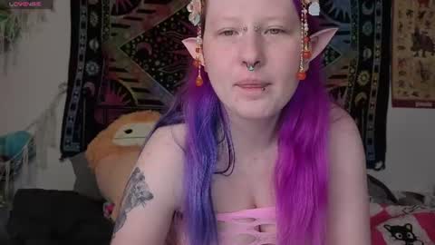 Lori Critter online show from 08/02/26, 11:14
