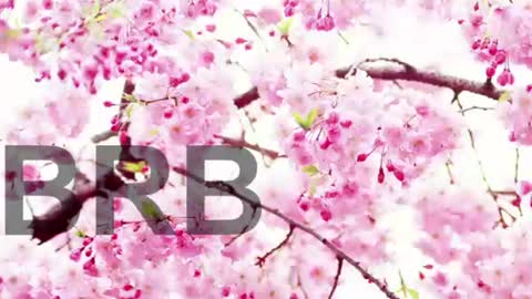 Lorraine online show from 06/09/26, 07:58
