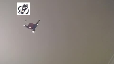 Snapshot of lostcausenef chatting on 03/02/25, 12:31 nefisa nef online show from 03/02/25, 12:31