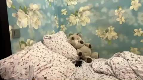 Sasha online show from 07/18/26, 07:28