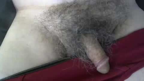 Snapshot of loveabush49 chatting on 09/26/25, 08:57 loveabush49 online show from 09/26/25, 08:57