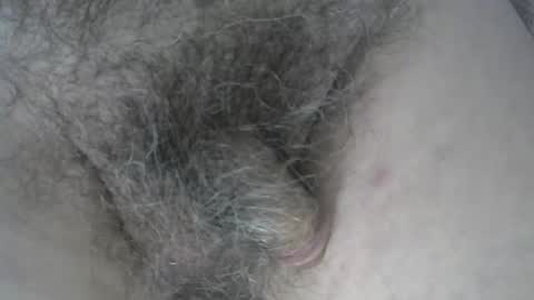 Snapshot of loveabush49 chatting on 11/05/25, 08:53 loveabush49 online show from 11/05/25, 08:53