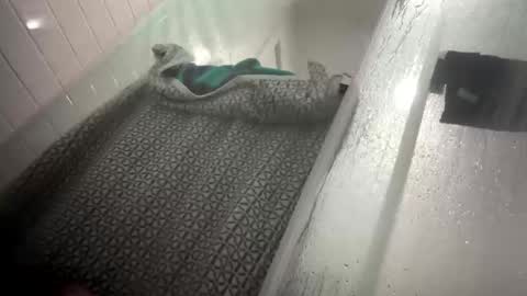 Snapshot of lovefeetonmyface29 chatting on 09/22/25, 09:55 lovefeetonmyface29 online show from 09/22/25, 09:55