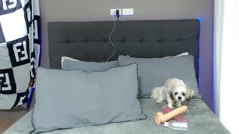 Jastine online show from 12/02/24, 01:58