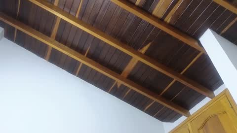 Snapshot of lovely_trix_ chatting on 01/20/25, 11:45 Trix online show from 01/20/25, 11:45