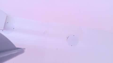 L O V E  online show from 03/13/26, 11:39