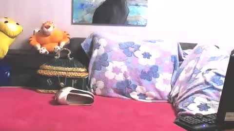 Snapshot of loveykiss77 chatting on 10/31/25, 10:33 Anna online show from 10/31/25, 10:33