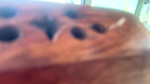 Snapshot of loveyourkittty chatting on 03/12/25, 10:17 StacyMaeWish online show from 03/12/25, 10:17